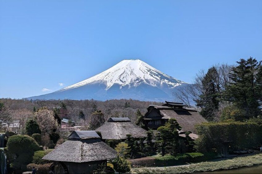 Mount Fuji Private Day Tour with English Speaking Driver 4