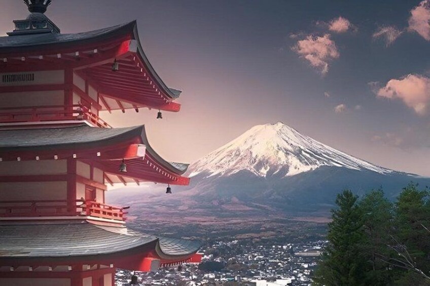 Mount Fuji Private Day Tour with English Speaking Driver 5
