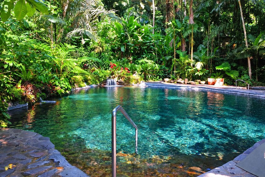 Picture 20 for Activity Manila: Hidden Valley Springs Day Tour with Lunch 3