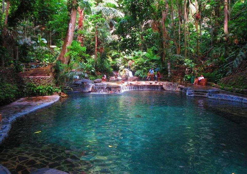 A clear pool with a waterfall, surrounded by dense tropical vegetation. 2