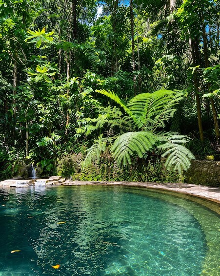 Picture 19 for Activity Manila: Hidden Valley Springs Day Tour with Lunch 2
