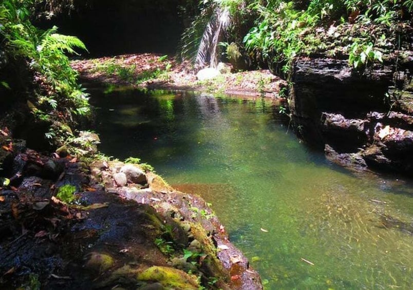 A clear pond surrounded by rocks and greenery. 5