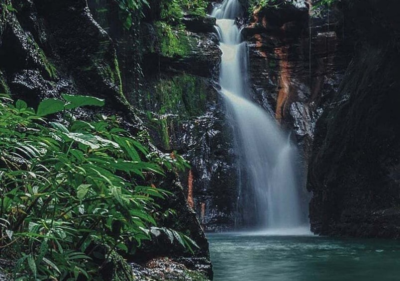 A waterfall cascading down a rocky cliff surrounded by lush greenery. 1