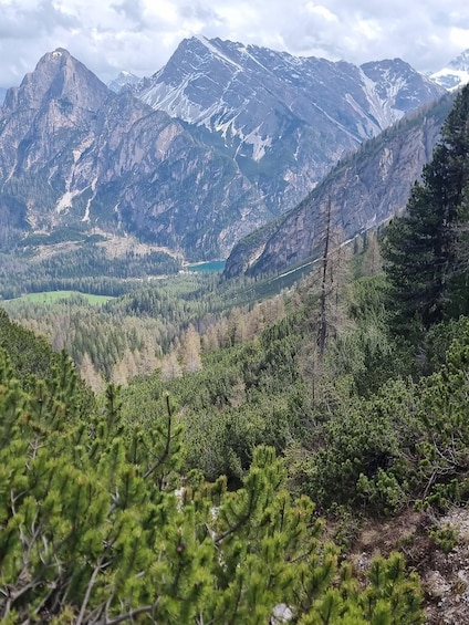 A mountain landscape with a lake and dense forest. 4
