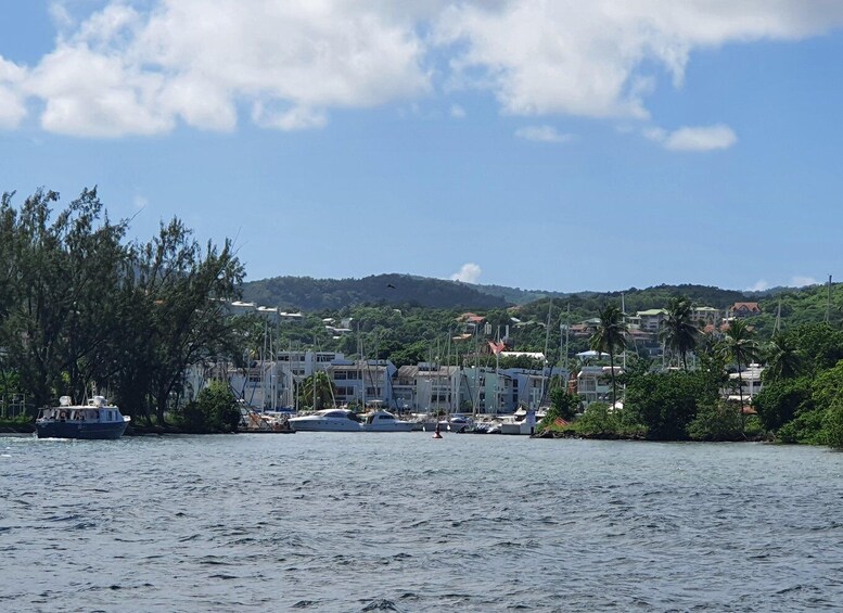 A coastal town with buildings, boats, and a hilly landscape in the background. 3