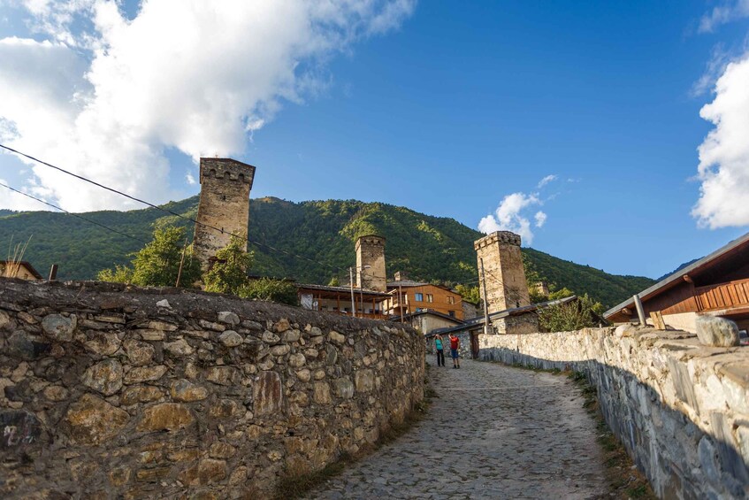 A cobblestone path leading through a stone wall, flanked by buildings and towers, with a mountain in the background. 2