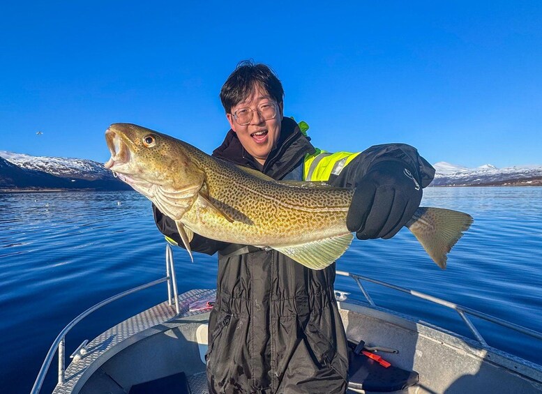 Picture 6 for Activity Tromsø: Private Fishing Tour - Open Boat 3