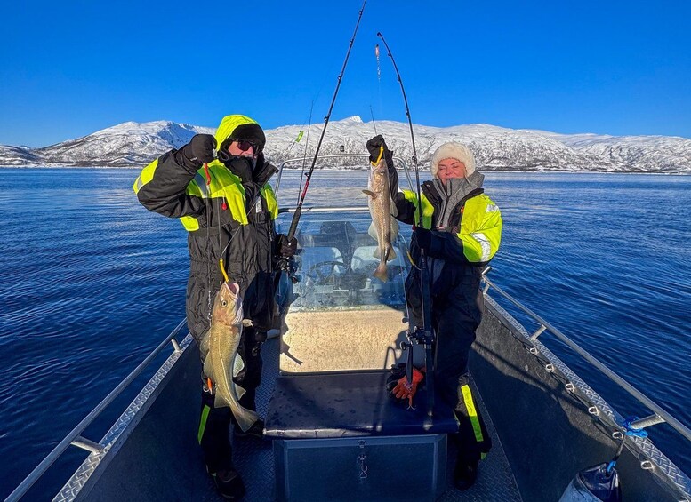 Picture 21 for Activity Tromsø: Private Fishing Tour - Open Boat 2