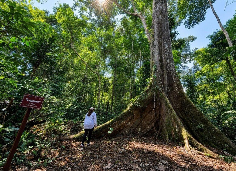 Iquitos: White Sand National Park Sunrise Jungle Hike 1
