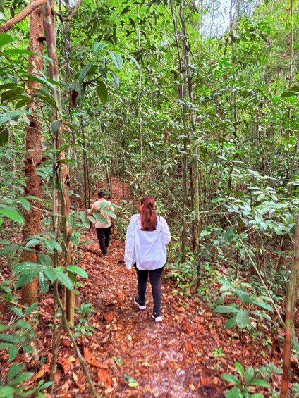 Picture 14 for Activity Iquitos: White Sand National Park Sunrise Jungle Hike 4