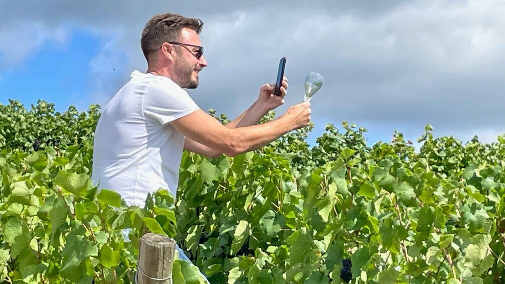 A person in a vineyard holding a smartphone and a wine glass. 3