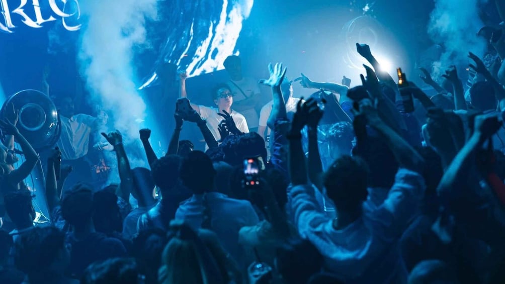 A concert with a crowd raising their hands, a stage with a DJ, and smoke effects. 5