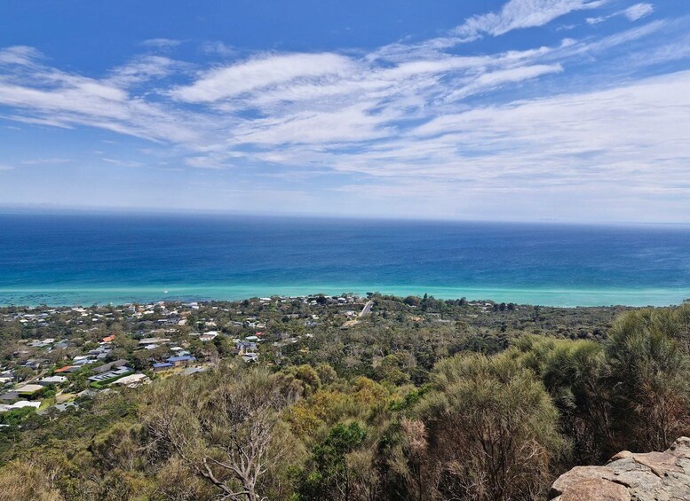Picture 16 for Activity Melbourne: Mornington Peninsula Wine Tour with Lunch 5