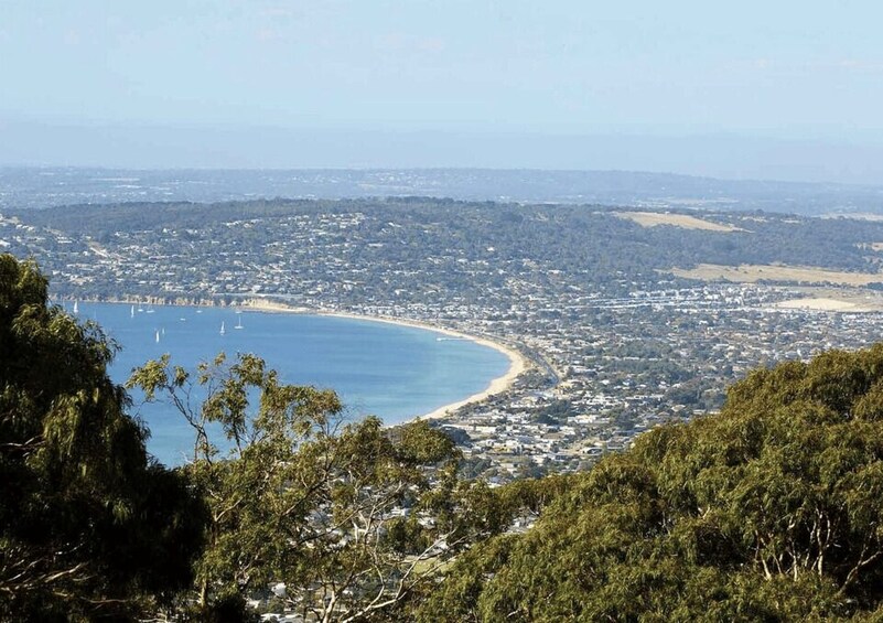 A coastal town with a curved bay, surrounded by dense greenery and hills. 3