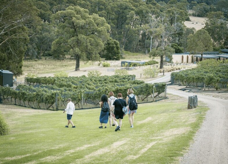 A group of people walking on a grassy path in a rural area with trees and a dirt road. 4
