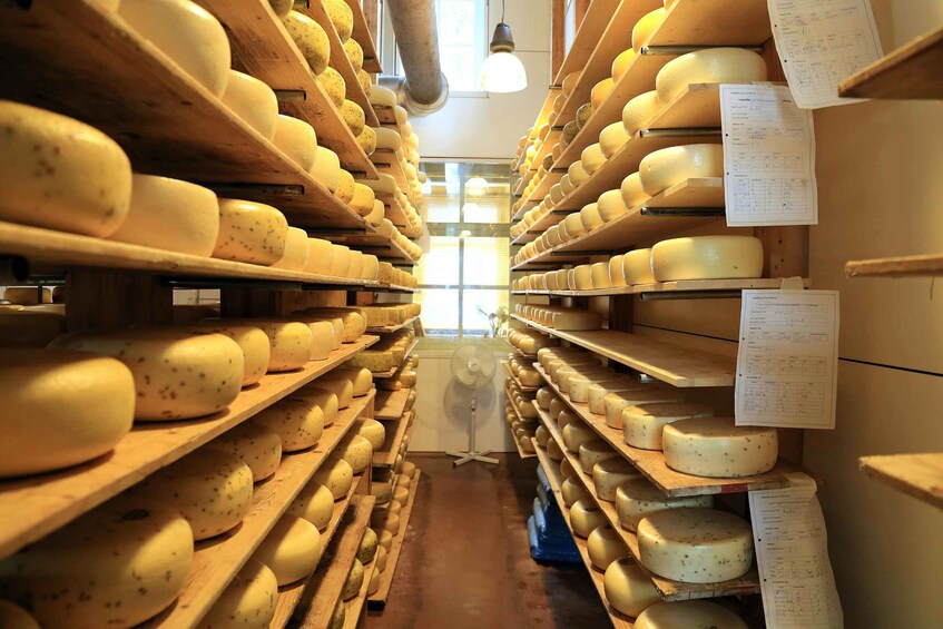 A cheese aging room with wooden shelves and a central fan. 5