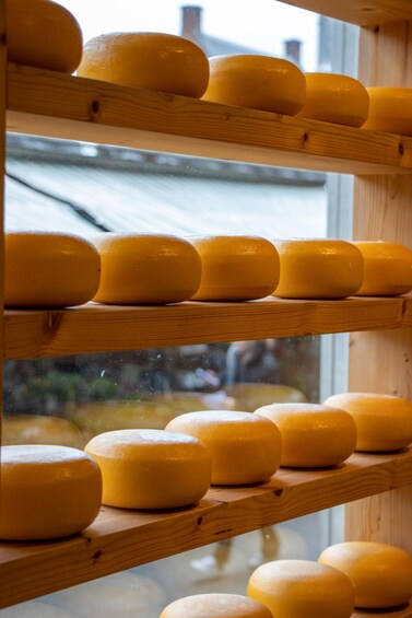 A display of cheese wheels on wooden shelves. 2