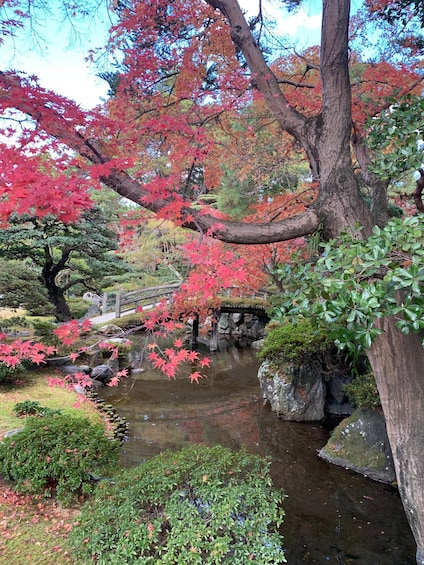 Fushimi Inari Deep Adventure: Hidden Trails & Shrine Ritual 1