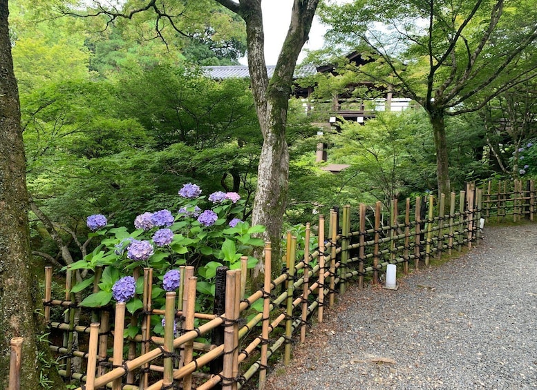 Picture 2 for Activity Fushimi Inari Deep Adventure: Hidden Trails & Shrine Ritual 4