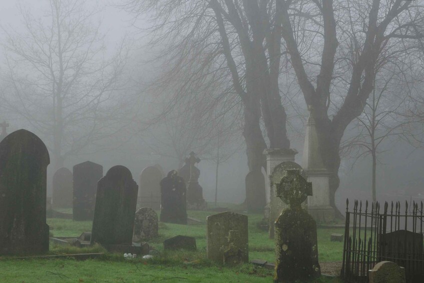 A foggy cemetery with tombstones and a large tree. 4