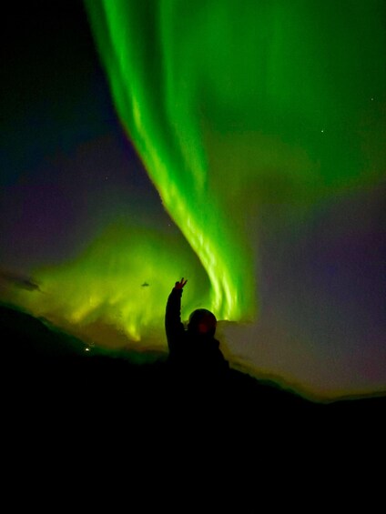 A person silhouetted against a vibrant aurora borealis display. 1
