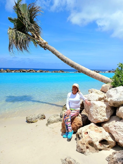 A person sitting on rocks by a clear blue sea with a palm tree and a rocky shoreline. 5
