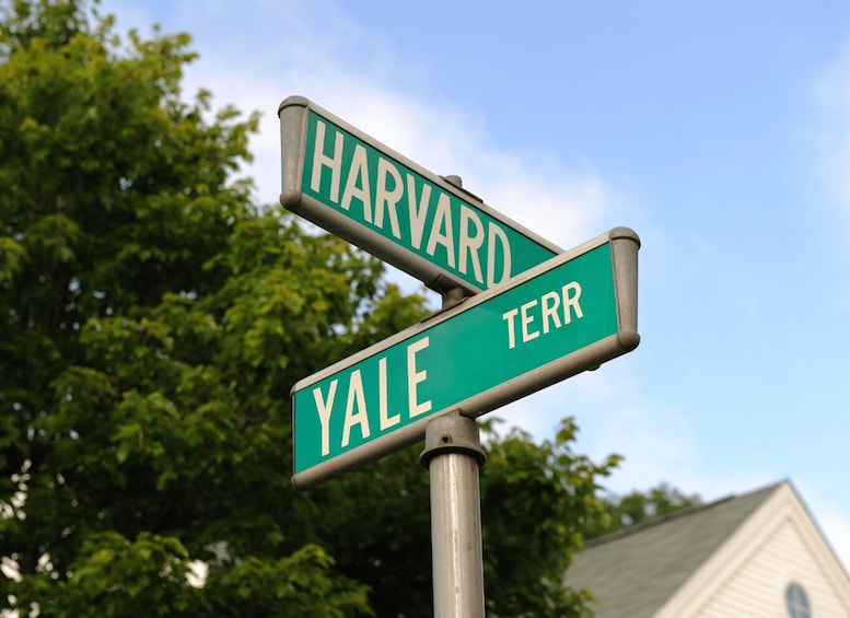 Street signs for 'Harvard' and 'Yale' intersecting. 2