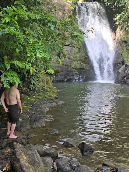 A waterfall in a forested area with a person standing by the water. 1