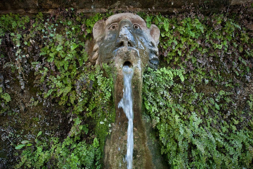 Picture 8 for Activity Tivoli: Villa d'Este Guided Tour with Entry Ticket 2