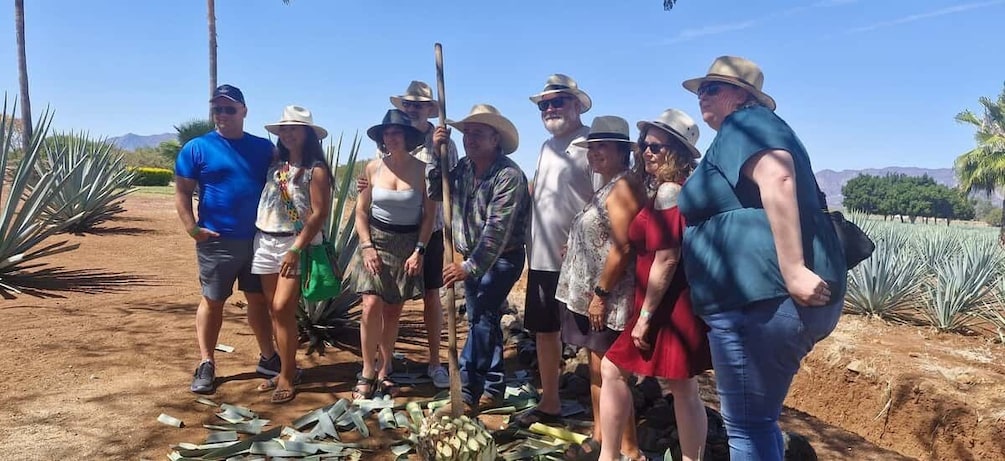 Picture 5 for Activity Tequila Tour from Guadalajara: Barrel Ride 2