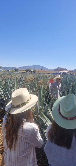 Two people in a field of agave plants with a sign reading 'ETAPA' in the background. 5