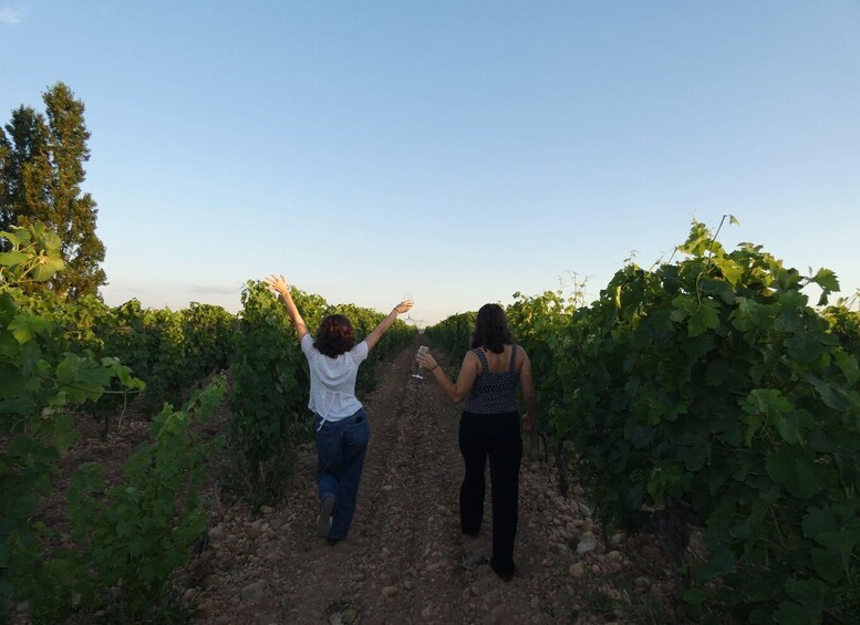 Picture 2 for Activity Guided visit & wine tasting in Crozes-Hermitage 3