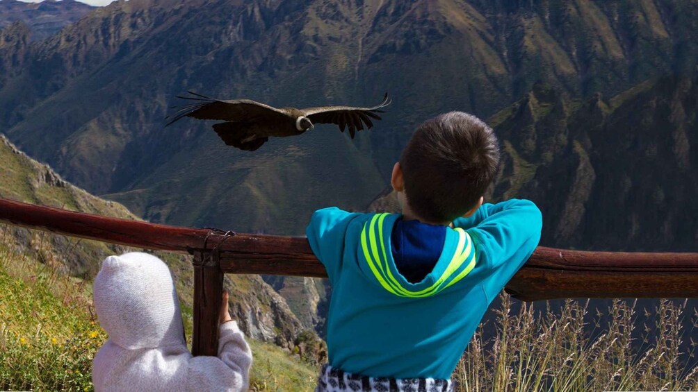 A person observing a bird in flight near a mountainous landscape. 1