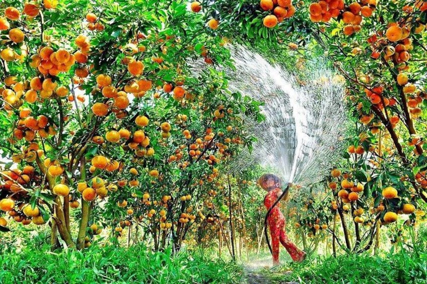Mekong Delta Day Trip: Cai Be and Tan Phong Island Experience 2