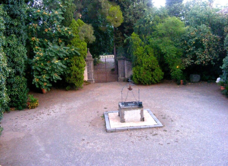 A garden with a fountain, a gate, and various trees. 3