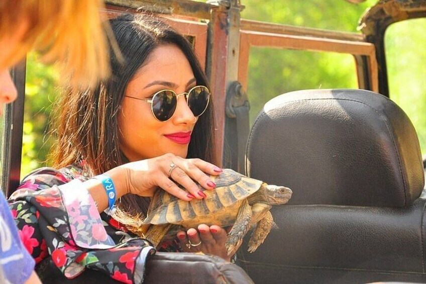 A person holding a turtle in a vehicle. 2
