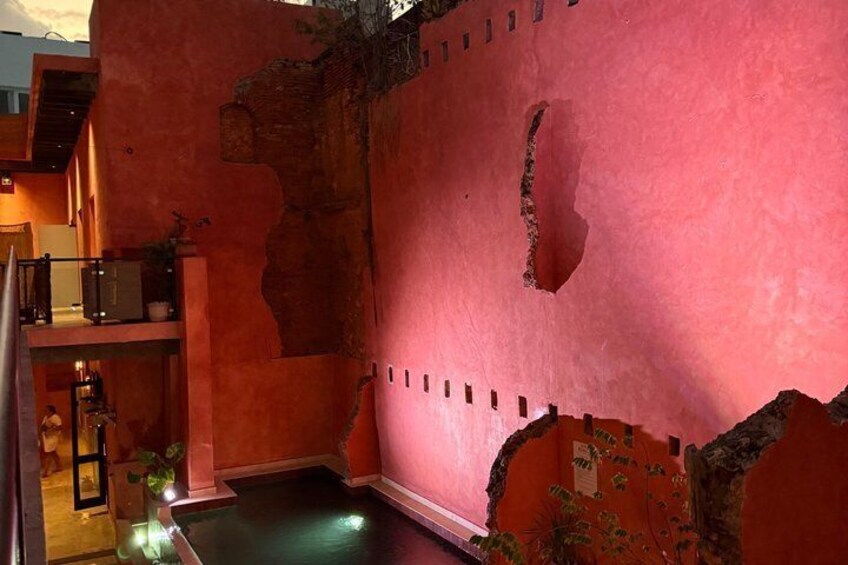 A pink interior space with a pool, a staircase, and a plant. 3