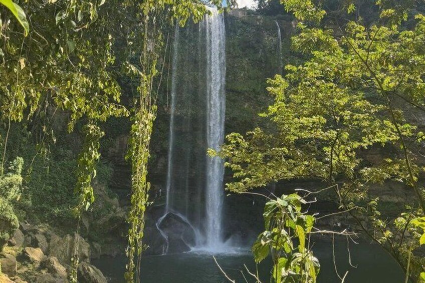 Ein Wasserfall, umgeben von üppiger Vegetation. 3