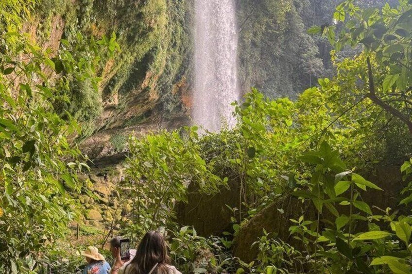 Ein Wasserfall, umgeben von üppiger Vegetation. 5