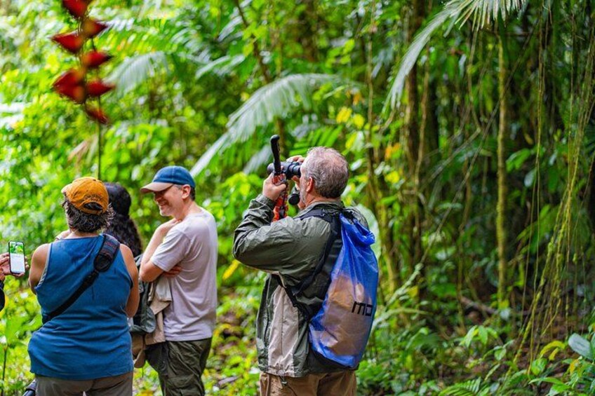 A group of people in a dense forest, one person taking a photo with a camera. 3