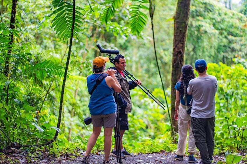 A group of people in a forested area with a camera on a tripod. 2