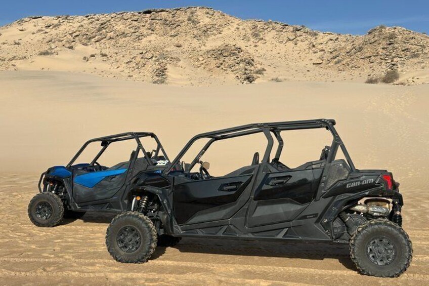 Deux véhicules tout-terrain sont stationnés dans un paysage désertique, avec des dunes de sable en arrière-plan. 4