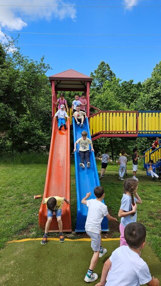 Children playing on a playground with two slides and a red-roofed structure. 5