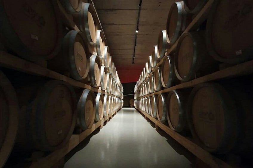 MOVIE STARS Torch Lake - Elk Rapids Wine & Distillery Tour 2