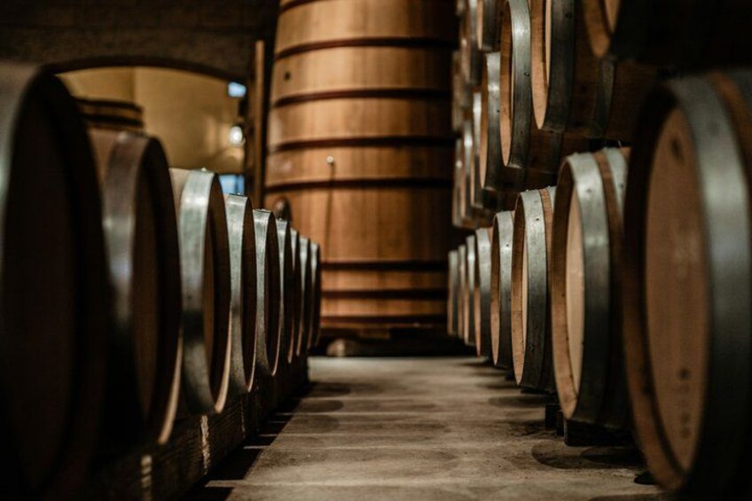 MOVIE STARS Torch Lake - Elk Rapids Wine & Distillery Tour 5