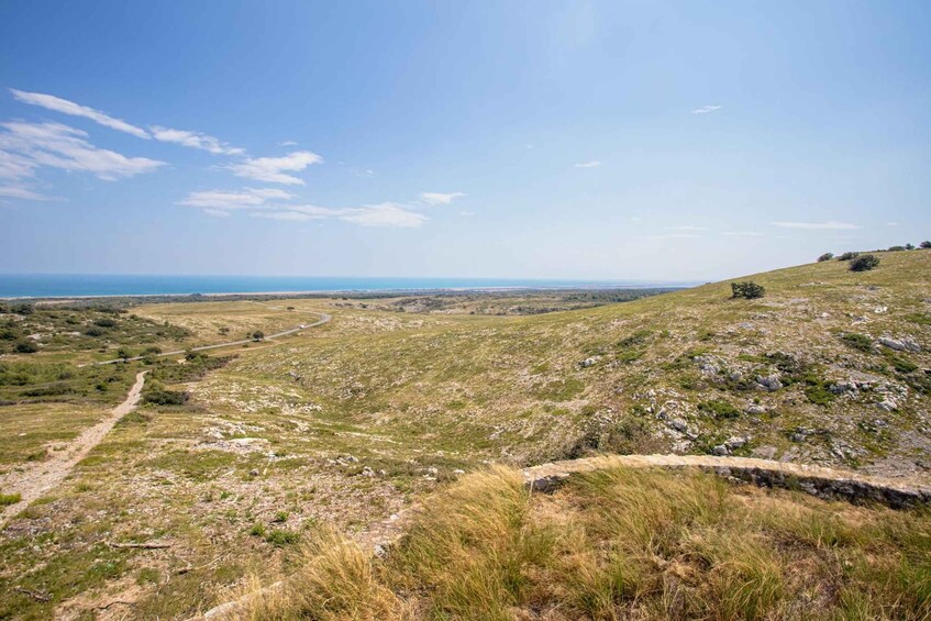A grassy hillside with a dirt path leading to a body of water. 3