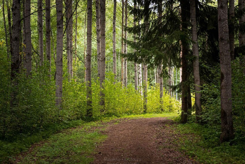Oulu: Discover a Unique Coastal Nature Gem, guided hike 1
