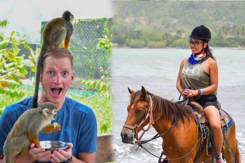 Une personne tenant un petit animal, une autre personne à cheval et un singe perché sur la tête d’une personne. 1