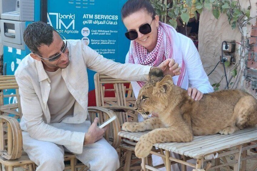 Siwa Oasis Tour 3 Days All Inclusive Private From Cairo or Giza 5