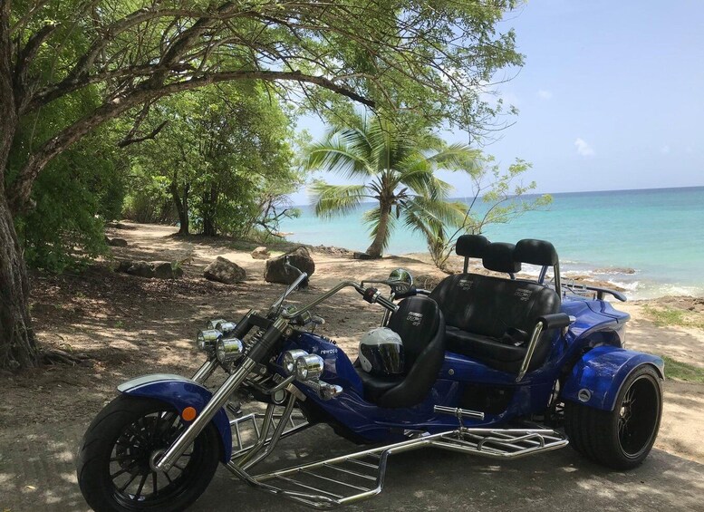 A blue motorcycle with a sidecar parked on a beach with palm trees and the ocean in the background. 4